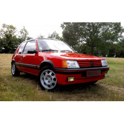 Peugeot 205 GTI (Fase 1/1.5)